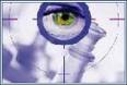 surveillance en ligne